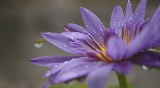 �� ������ ����������, ������ �� ����������� ������� �����