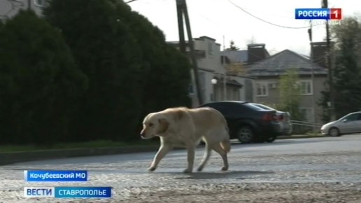 �� ����������� ���������� ������ ��������� �����