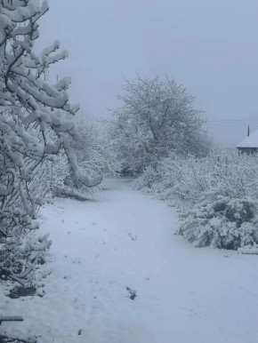 ��� ������� ���� �� ������� ������������� �� �����������