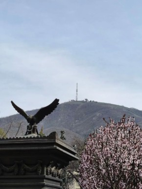 ����������� ���� ��� � �����