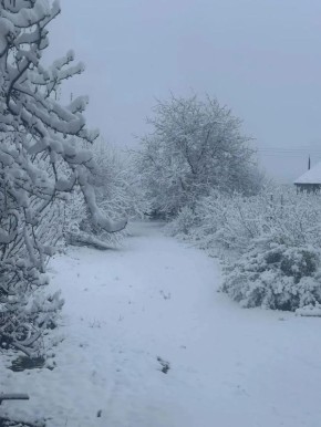 82 ������� ��������� � ������� �������������