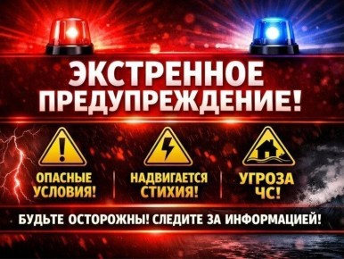 ���������� ��������������. � ��������� ������������� ������������ �������� (������������)