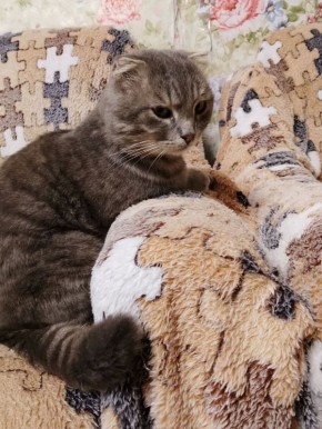 ����� �� ����� ���, ��� ���������� ��������� ������ �� ������