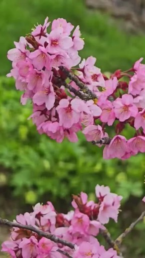 � � ������������ ���� ���������� �����-�����