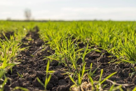 � ������� 2026 ���� �������������� ���� ������� ������ ��������� �� ������