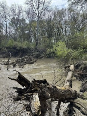 ����� 30 �������� ��� ����������� �� ����������� � ����������� ������