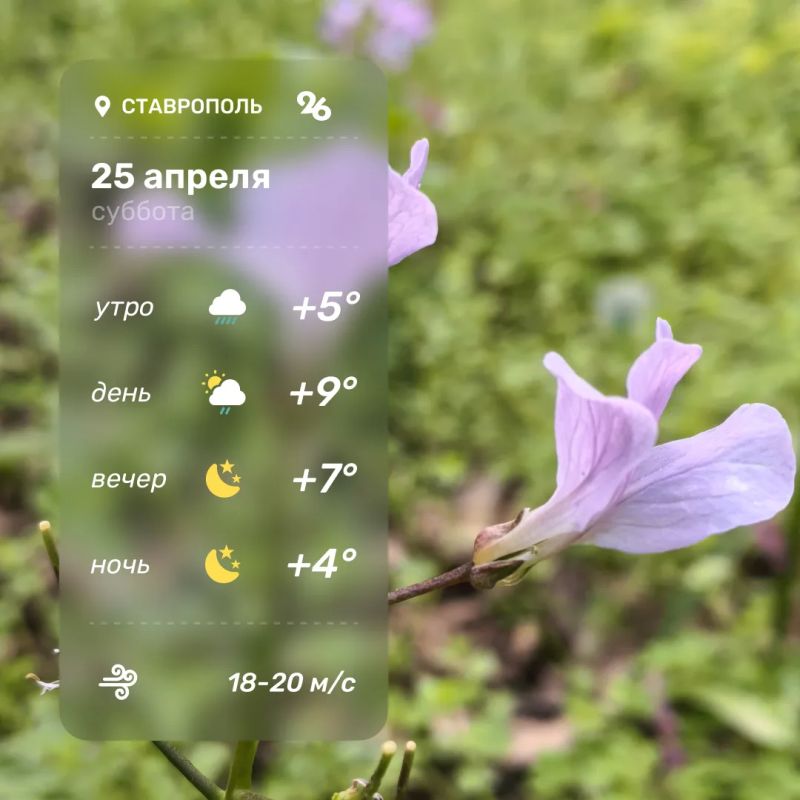 ������ ����!. ������ �� �������