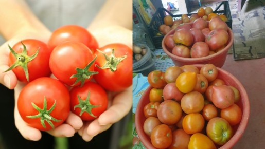 ��� ������� ������� ��� ������ �� 10 �� � ����� �������