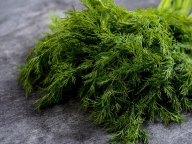 ������� ����� �� ����� �������: ������� ��������� �����