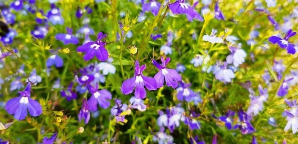 ������� �� �����: �������, ������� ������� ���� �������� ����� � ������