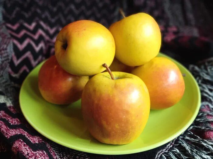 Яблоня Заря Алатау: как вырастить медовые плоды с уникальным вкусом