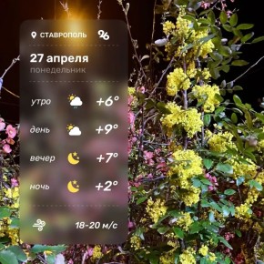 ������ ����! ���������� ������, ������� ���������� � ���������� ������� �����