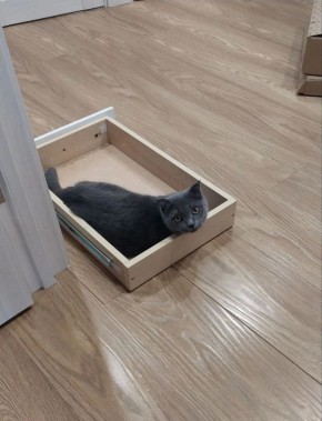 ����� ��������� ������, ��� ������ ���� � ���� ������� ��� ��� ��������