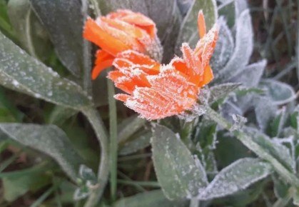 �� ����������� ����� ��������� ���������