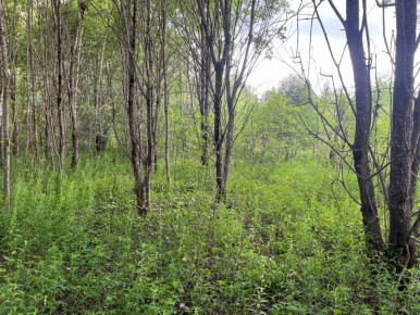 ������� �����: ��� ������ ������ �� ������ � ����