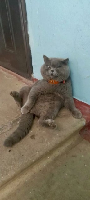 ��� ���� ��� ����������� � ����� � ������� ��������