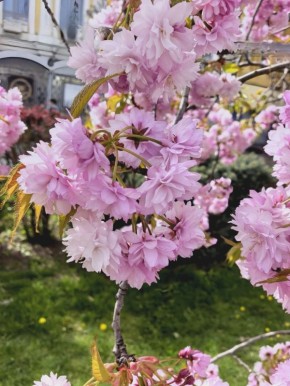 � ������ ���������� ������� ������