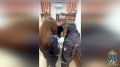 � �������������� ���� ���������� ��������� ���� � ��������� ���������� �������������� ������, ������������� � ����������� ���������� ����������� ��������� ���������-�����������, �������� ������� ������������� ���������� ���...