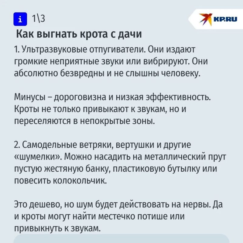 О наболевшем для дачников: рассказываем, как избавиться от крота на участке О наболевшем для дачников: рассказываем, как избавиться от крота на участке