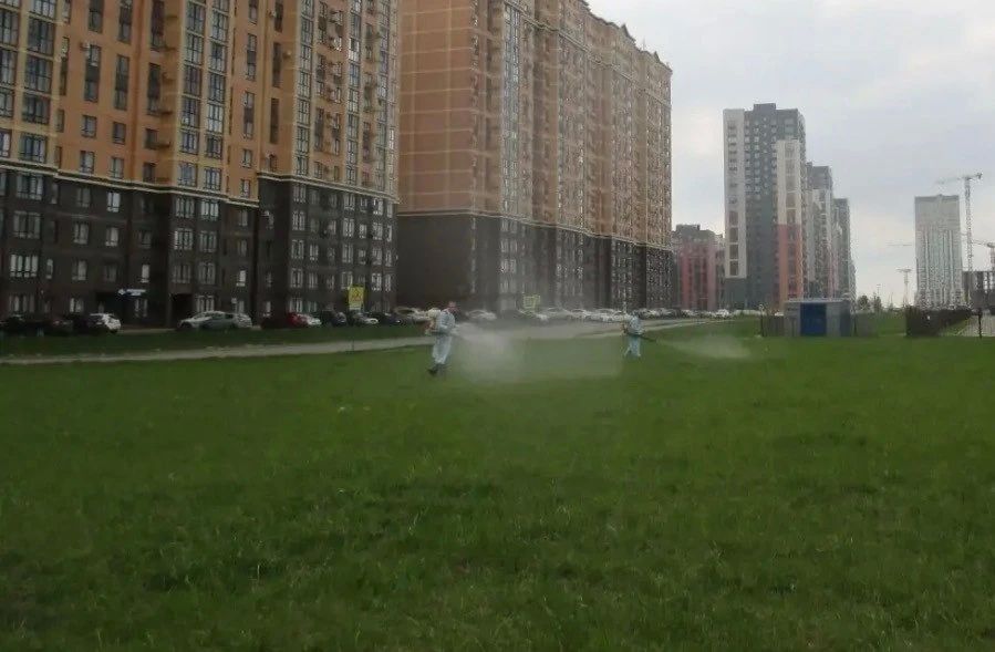 Почти 700 тысяч кв.м. парков и газонов Ставрополя обработали от клещей Почти 700 тысяч кв.м. парков и газонов Ставрополя обработали от клещей