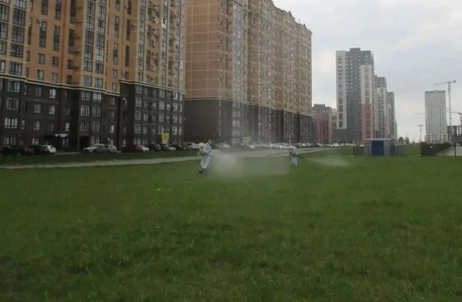 Почти 700 тысяч квадратных метров обработали от клещей в Ставрополе Почти 700 тысяч квадратных метров обработали от клещей в Ставрополе