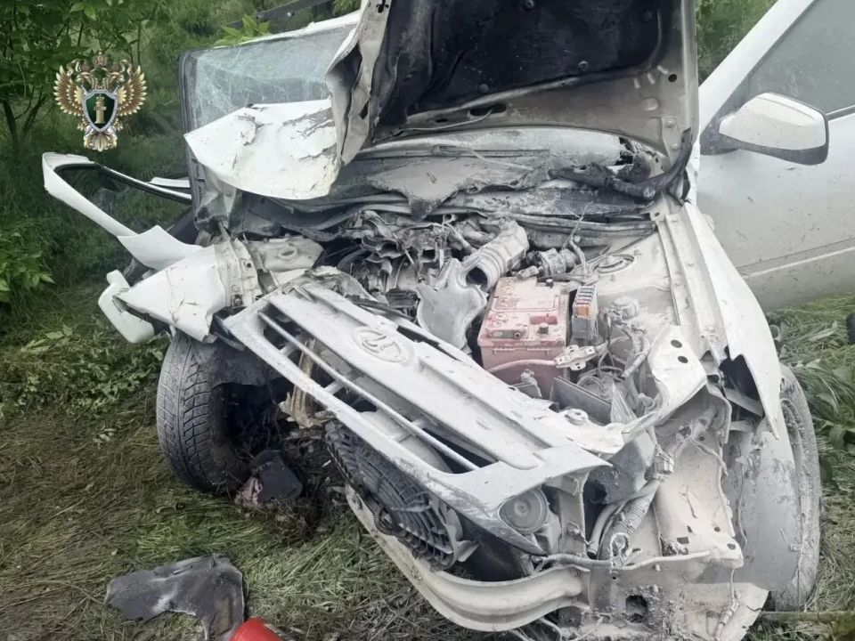 Прокуратурой края организована проверка по факту ДТП в Буденновском округе Прокуратурой края организована проверка по факту ДТП в Буденновском округе