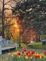 Железноводск. Артём Мелетов Подпишись на нас в МАКС