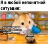 ������� ���������� ������������� ���� ���