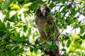 ����� ������� ���� ��������� � ���������� � �������������