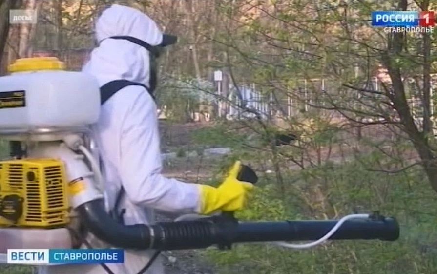 В Ставрополе борются с клещами-кровопийцами