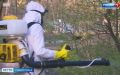 В Ставрополе борются с клещами-кровопийцами