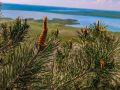 Завершаем предпоследний день весны с шикарным видом на Сенгилеевское водохранилище