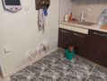 Плесень в квартире: как найти ее скрытые источники и избежать проблем