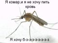 Ставрополье атаковали комары