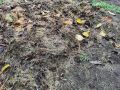 Зимнее обогащение почвы: секреты успешного садоводства