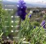 ������ � ���������� 30 ����