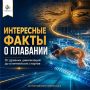 Плавание имеет историю длиной в тысячи лет: изображения пловцов находили ещё на древних стенах и сосудах, а олимпийской дисциплиной оно стало в 1896 году