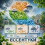 С добрым утром!. Пусть день начнётся с улыбки и хорошего предчувствия, а дальше всё пойдёт по самому счастливому сценарию