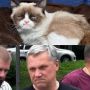 Дмитрий Ворошилов: Народное творчество. Спасибо, юмор ценю