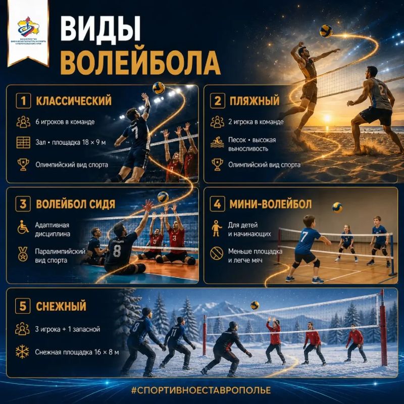 Стартует неделя волейбола! Стартует неделя волейбола!