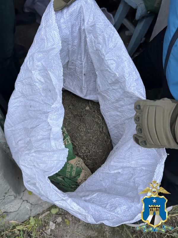 На Ставрополье перед судом предстанет житель Минераловодского округа за организацию цеха по культивированию наркосодержащих растений На Ставрополье перед судом предстанет житель Минераловодского округа за организацию цеха по культивированию наркосодержащих растений