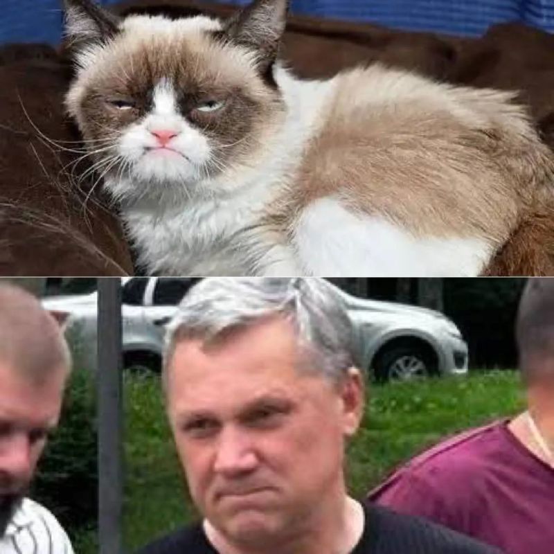 Дмитрий Ворошилов: Народное творчество. Спасибо, юмор ценю