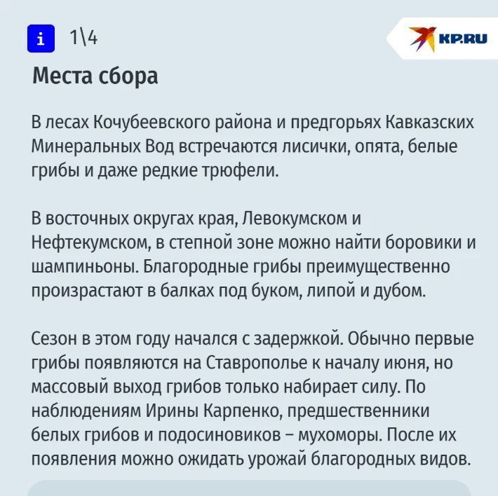 Лисички, опята и даже редкие трюфели: рассказываем, где искать и как не отравиться грибами на Ставрополье Лисички, опята и даже редкие трюфели: рассказываем, где искать и как не отравиться грибами на Ставрополье