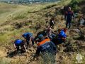 Обессиленную лошадь, увязшую в грязи, спасли в Чечне