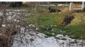 Секреты успешного выращивания овощей в холодных регионах