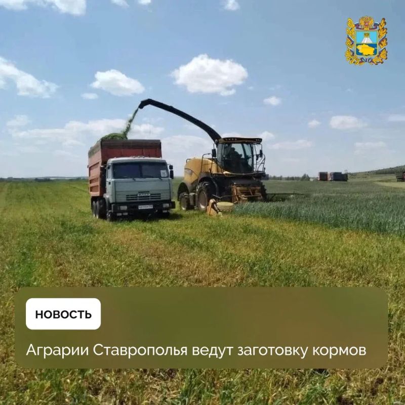 На Ставрополье готовят кормовую базу к зимнему периоду