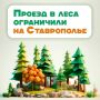 В леса на Ставрополье ограничили проезд на машинах