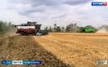 В Петровском округе Ставрополья продолжается уборочная кампания