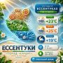 Доброе утро! Пусть день будет лёгким, будто ветерок несёт все заботы прочь, а впереди ждёт только хорошее!