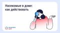 ���� � ���� ��������� ���������: